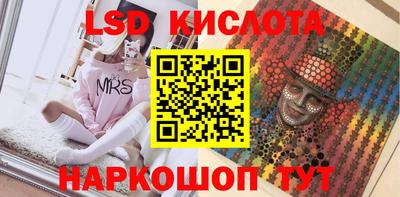 шишки Новодвинск