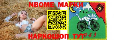 шишки Новодвинск