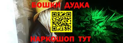 шишки Новодвинск