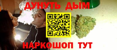 шишки Новодвинск