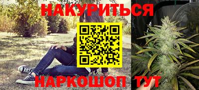 шишки Новодвинск