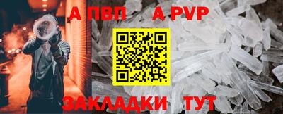шишки Новодвинск