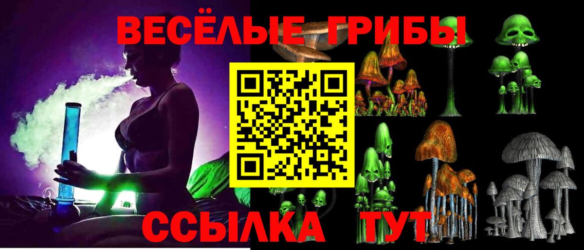 как найти закладки  Псилоцибиновые грибы Psilocybe  Вход с VPN  Северобайкальск 