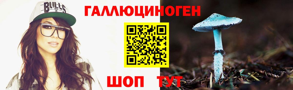 Псилоцибиновые грибы мухоморы Северобайкальск